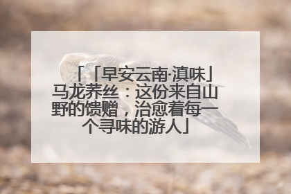 「早安云南·滇味」马龙荞丝：这份来自山野的馈赠，治愈着每一个寻味的游人